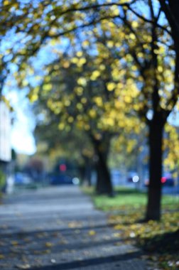 Autumn City Parkı. Güzel sonbahar sezonu