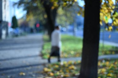 Sonbahar Şehir Parkı 'ndaki insanların geçmişi bulanık