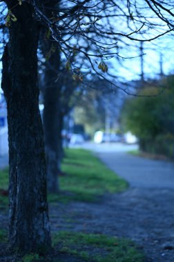 Autumn City Parkı. Güzel sonbahar sezonu