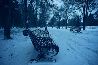 Parkta karlı kış
