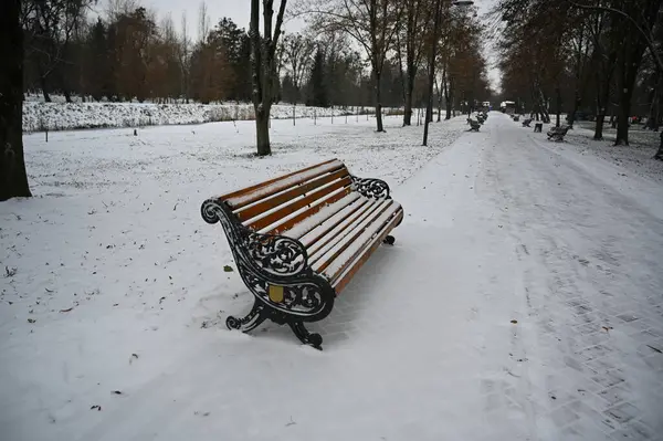 Parkta Karlı Kış — Stok fotoğraf