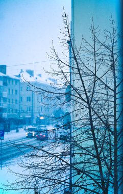 Eski şehrin tarihi mimari parçaları.