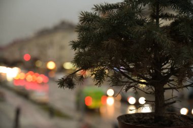 Pencere kenarında noel ağacı ve şehir ışıkları arka planda bulanık