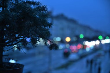 Pencere kenarında noel ağacı ve şehir ışıkları arka planda bulanık