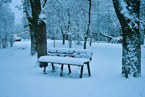 Snowy Trees Park Winter — Stock Photo, Image