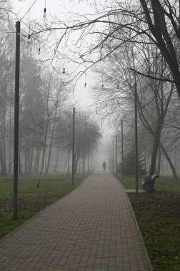 Sisli parkın güzel manzarası