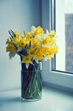 Güzel nergisler, pencere kenarındaki çiçekler, yakın plan.