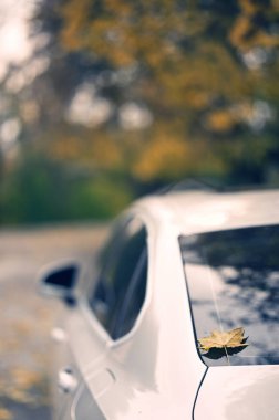 Sokağa park etmiş bir araba.