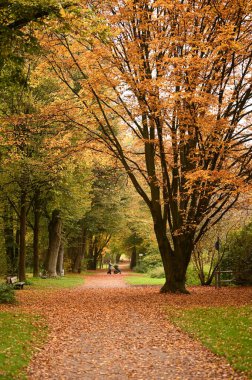 Ağaçlar ve yapraklarla dolu sonbahar manzarası
