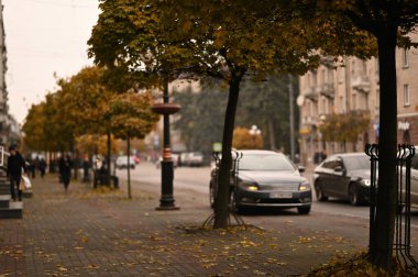 sokaklarda sonbahar yaprakları