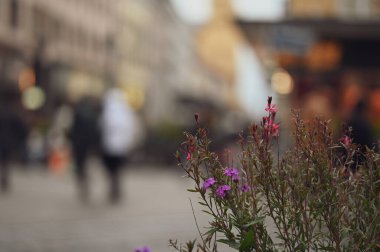 Şehrin bulanık arkaplanı.