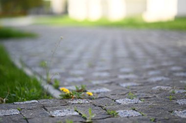 Parkta kaldırım taşları