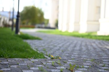 Yeşil çimenli, kaldırıma yakın bir yerde.