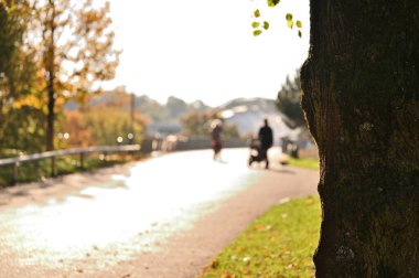 Şehir parkında sonbahar