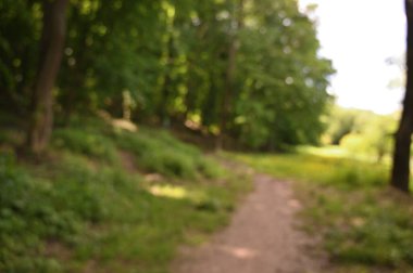 Bulanık yeşil çimen arkaplan