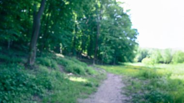 Parkın güzel manzarası