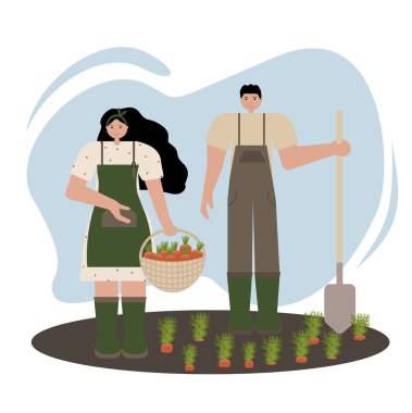 Sonbaharda havuç toplayan bir kadın ve erkeğin resimlerini toplayın. Düz stil vektör sanatı. Renkli, canlı elementler. Sebze ve çiftlik aletleri de dahil. Sonbahar tasarımları için mükemmel