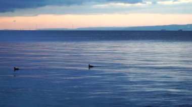 Sea surface. Calm tranquil sea footage. Reflections on the sea surface in moody weather