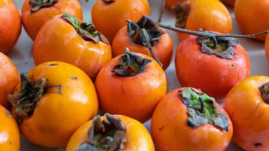 Hurma meyvesi. Bir grup taze organik olgun hurma, yüksek açılı meyve manzaralı. Cennet hurmasi ya da Türkçe trabzon hurmasi. Seçici odak dahil