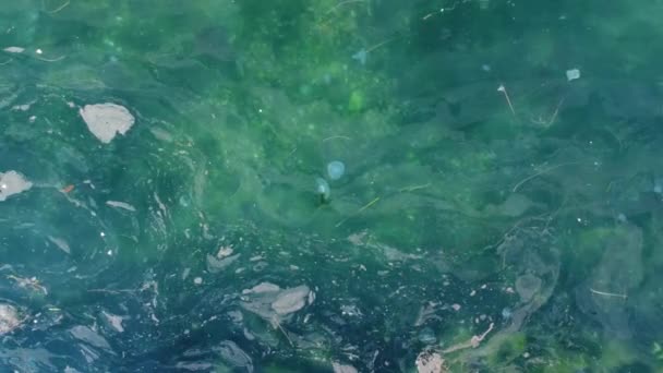 Aerial View Mucilage Sea Dirty Sea Toxic Poisonous Waste Sea — Vídeos de Stock