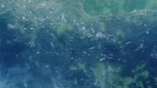 Aerial View Mucilage Sea Dirty Sea Toxic Poisonous Waste Sea — Stock Video