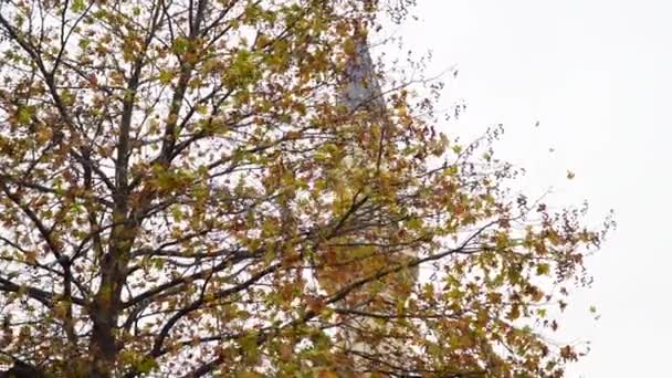 Meczet Ramadan Meczet Minaret Drzewo Ramadan Koncepcja Ramadana Dramatyczny Widok — Wideo stockowe