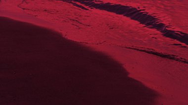 Beach view. Tranquil sea and seashore with viva magenta background. Tide. Selective focus included. Noise and grain included.