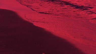 Beach view. Tranquil sea and seashore with viva magenta background. Tide. Selective focus included. Noise and grain included.