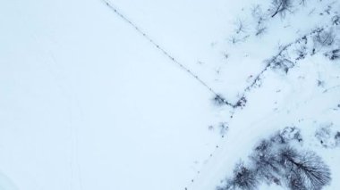 Snowy field with trees and footpath. Mountain house in winter season. Aerial view.