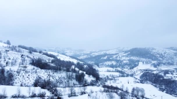 白雪覆盖的大自然空中的雪景覆盖了高山的森林 冬日的风景 阴郁而忧郁的天空 — 图库视频影像
