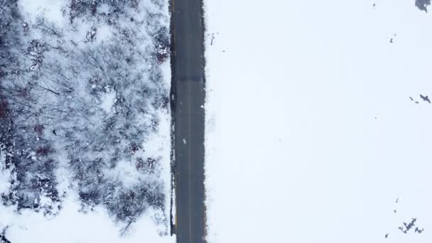 Hava Karla Kaplı Yol Kış Mevsiminde Dağda Köy Yolu Sinematik — Stok video