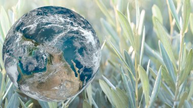 earth and green plant background. Earth day or World environment day or nature day concept. Elements of this image furnished by NASA