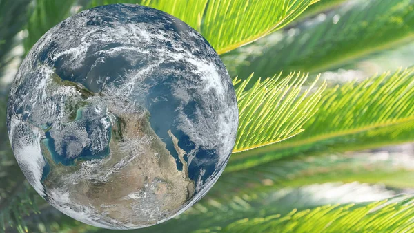 earth and green plant background. Earth day or World environment day or nature day concept. Elements of this image furnished by NASA