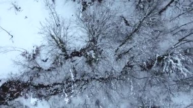 Kış mevsiminde karlı dağların havadan görünüşü. Karlı vadi, kasvetli havada. Kar Türkiye 'de dağları kapladı. Drone kış ormanı manzaralı