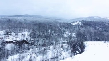 Kış mevsiminde karlı dağların havadan görünüşü. Karlı vadi, kasvetli havada. Kar Türkiye 'de dağları kapladı. Drone kış ormanı manzaralı