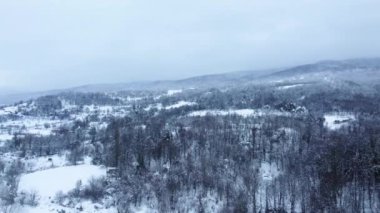 Kış mevsiminde karlı dağların havadan görünüşü. Karlı vadi, kasvetli havada. Kar Türkiye 'de dağları kapladı. Drone kış ormanı manzaralı