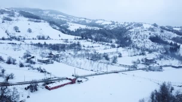 冬の季節には雪に覆われた山の空中ビュー 天気の良い日に雪の谷 雪はトルコの山を覆った ドローンビュー 冬の森 — ストック動画