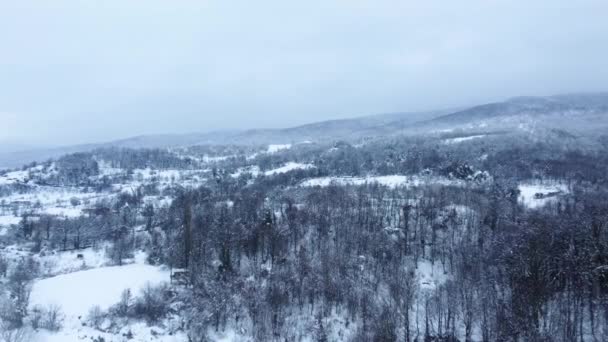Kış Mevsiminde Karlı Dağların Havadan Görünüşü Karlı Vadi Kasvetli Havada — Stok video