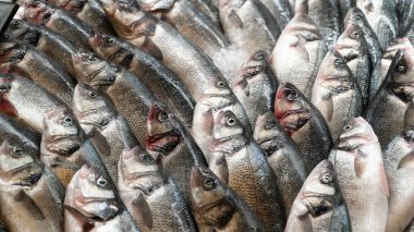 Balık pazarında buzdaki balıklar. Bir grup çiğ balık markette bekliyor. Deniz ürünleri konsepti. Yüksek açı. Seçici odak