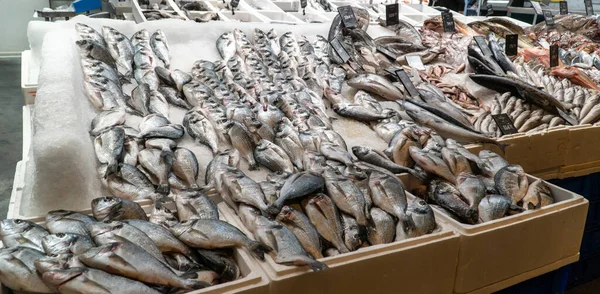 Рыба Льду Рыбном Рынке Группа Сырой Свежей Рыбы Рынке Концепция — стоковое фото