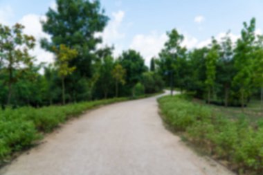 Ormanda yürüyüş yolu. Karbon nötr konsept. Karbon net sıfır konsepti. Dünyadaki yeşil şehirler. Yeşil parklar. Yeşil ortam bulanık arkaplan