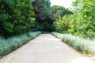 Ormanda yürüyüş yolu. Karbon nötr konsept. Karbon net sıfır konsepti. Dünyadaki yeşil şehirler. Yeşil parklar. Yeşil ortam bulanık arkaplan