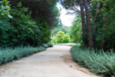 Ormanda yürüyüş yolu. Karbon nötr konsept. Karbon net sıfır konsepti. Dünyadaki yeşil şehirler. Yeşil parklar. Yeşil ortam bulanık arkaplan