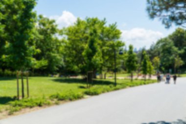 Ormanda yürüyüş yolu. Karbon nötr konsept. Karbon net sıfır konsepti. Dünyadaki yeşil şehirler. Yeşil parklar. Yeşil ortam bulanık arkaplan