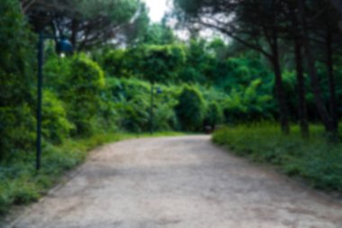 Ormanda yürüyüş yolu. Karbon nötr konsept. Karbon net sıfır konsepti. Dünyadaki yeşil şehirler. Yeşil parklar. Yeşil ortam bulanık arkaplan