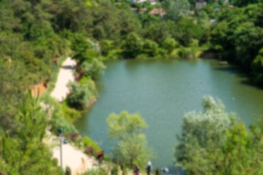 Ormanda yürüyüş yolu. Karbon nötr konsept. Karbon net sıfır konsepti. Dünyadaki yeşil şehirler. Yeşil parklar. Yeşil ortam bulanık arkaplan