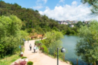 Ormanda yürüyüş yolu. Karbon nötr konsept. Karbon net sıfır konsepti. Dünyadaki yeşil şehirler. Yeşil parklar. Yeşil ortam bulanık arkaplan