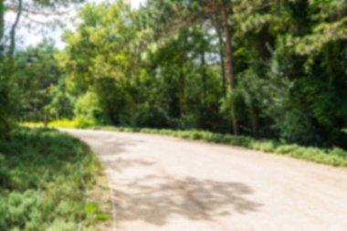 Ormanda yürüyüş yolu. Karbon nötr konsept. Karbon net sıfır konsepti. Dünyadaki yeşil şehirler. Yeşil parklar. Yeşil ortam bulanık arkaplan