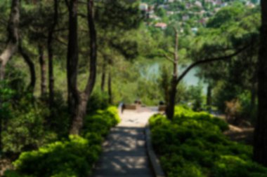 Ormanda yürüyüş yolu. Karbon nötr konsept. Karbon net sıfır konsepti. Dünyadaki yeşil şehirler. Yeşil parklar. Yeşil ortam bulanık arkaplan