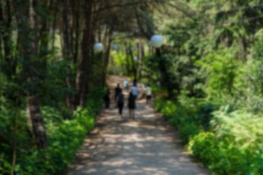 Ormanda yürüyüş yolu. Karbon nötr konsept. Karbon net sıfır konsepti. Dünyadaki yeşil şehirler. Yeşil parklar. Yeşil ortam bulanık arkaplan